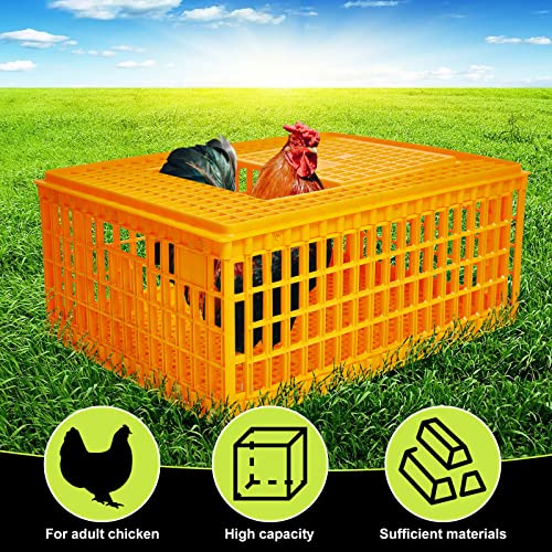 Plastic Poultry Carrier Crate for 13 Adult Chickens, 29.5 x 21.7 x 13 Inch G764