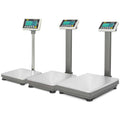Industrial Bench Scale 250 lb x 0.05 lb L362374