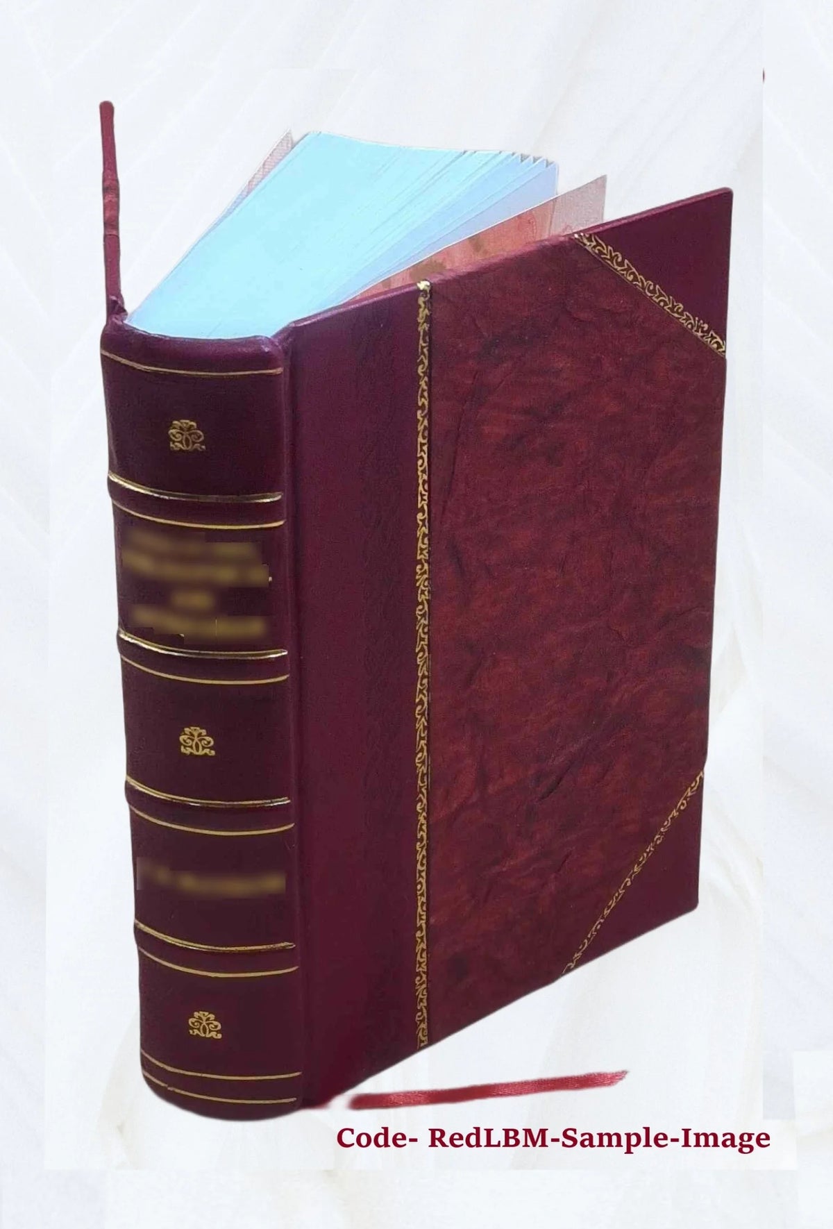 Minutes of the Supreme Executive Council of Pennsylvania, Volume 13 L832699
