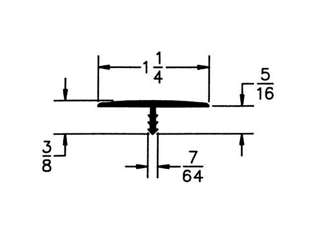 Plastic T Molding 1-1/4in N5333