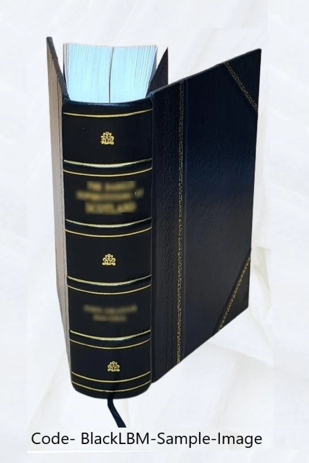 Minutes of the Supreme Executive Council of Pennsylvania, Volume 13 L832699