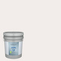 Interior Paint (5-Gallon) I9206