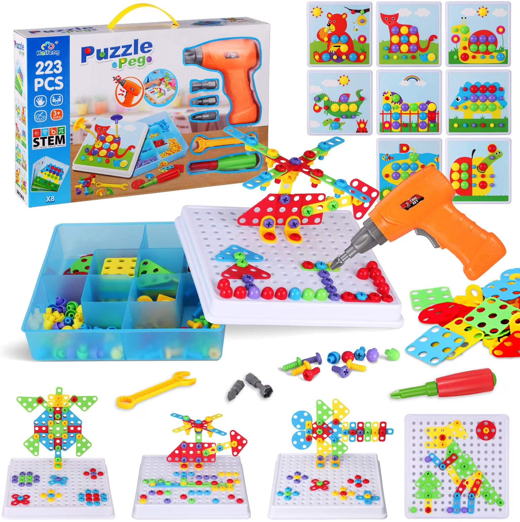 223 Pieces STEM Building Block Toys W88735