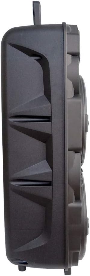Portable Audio System with Rechargeable Battery, Bluetooth, Wireless Mic and Remote Control H970