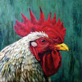 Big Red P248526