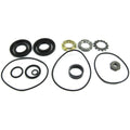 Lower Gearcase Seal Kit L6400