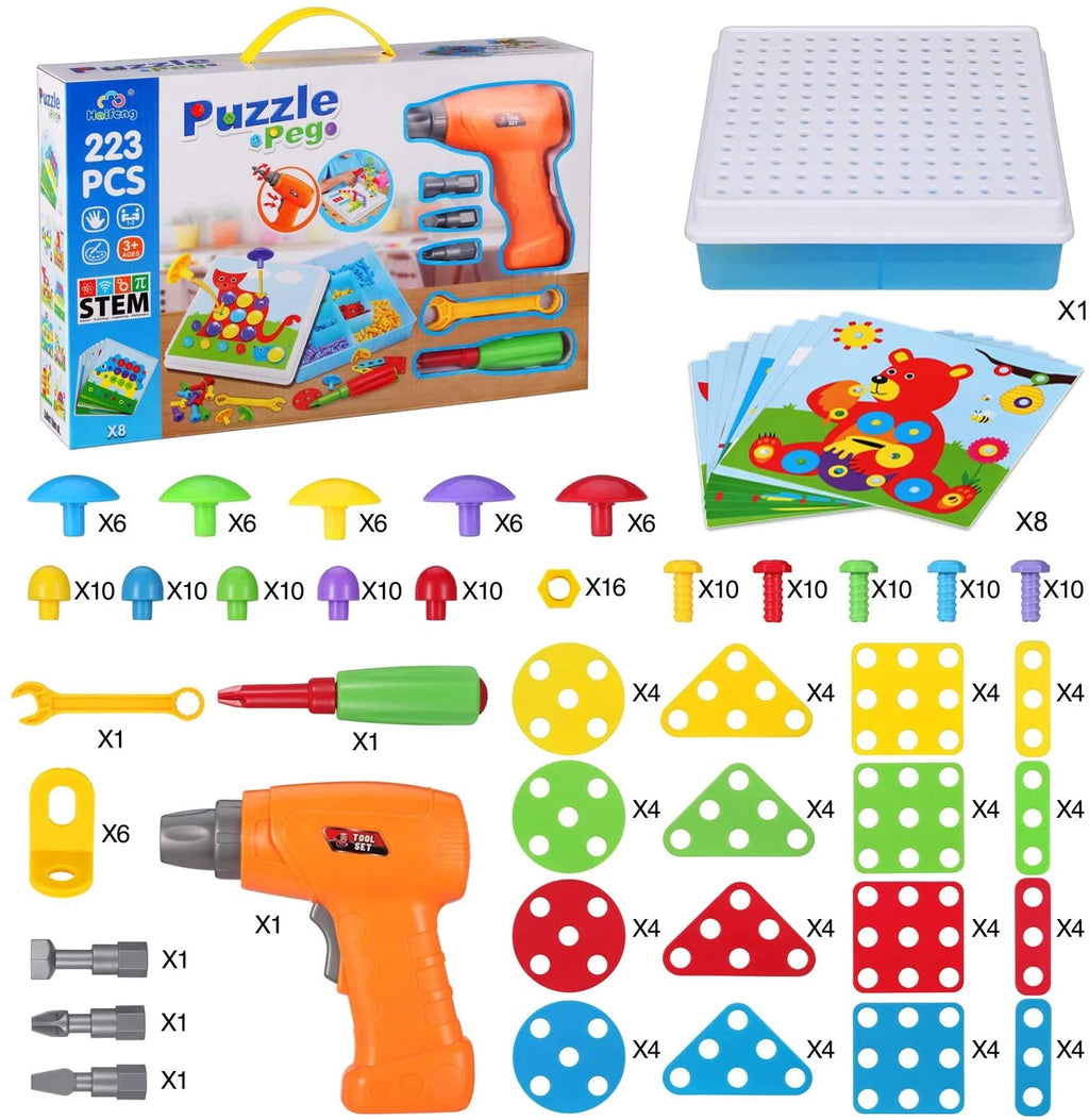 223 Pieces STEM Building Block Toys W88735