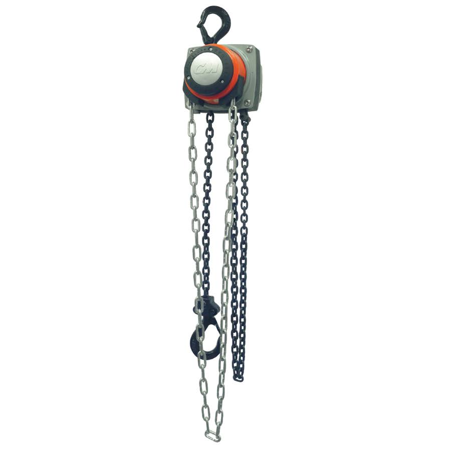 1 Ton 8ft Lift Hand Chain Hoist B281260