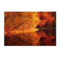 Canvas Art R238