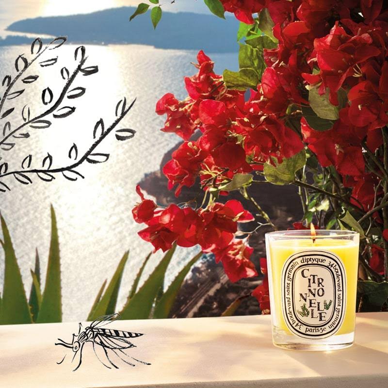 Citronnelle Candle U6850